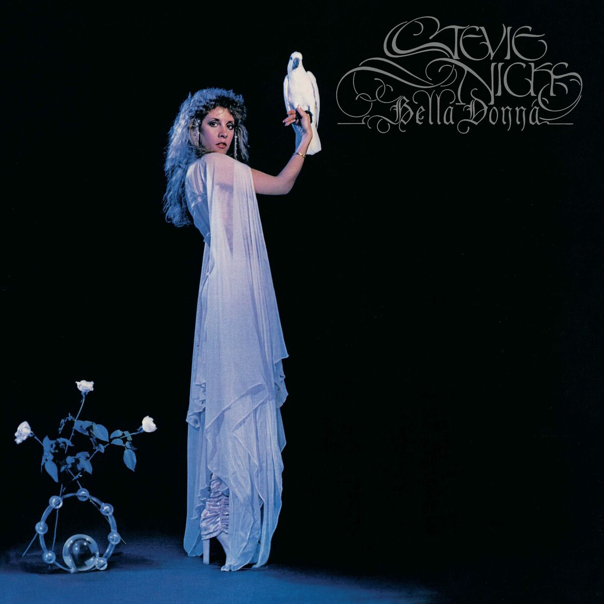 Stevie Nicks, Don Henley
